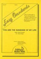 You Are The Sunshine Of My Life 