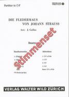 Die Fledermaus 