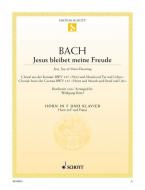 Jesu, Joy of Man's Desiring BWV 147 Standard