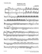 London Symphony No. 7 in E-flat major Hob.I:99 