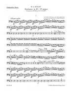 Sinfonie D-Dur 