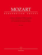 Unser dummer Pöbel meint Standard