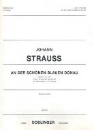 An der schönen blauen Donau Op. 314 