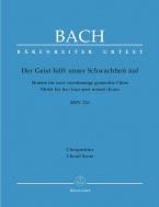 El Espíritu ayuda a nuestra debilidad BWV 226 Standard