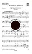 Wanderer und der Bach 