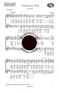 Frühling im Wald 