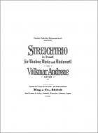 Trio d-moll op. 29 