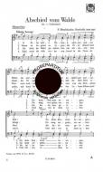 Abschied vom Walde 