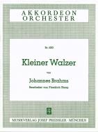 Kleiner Walzer 