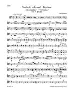 Sinfonie Nr. 7 h-Moll D 759 Standard