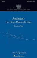 Visiones del Llano No. 2: Amanecer 