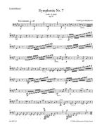 Symphony No. 7 A Major op. 92 Standard