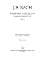 Es ist dir gesagt, Mensch, was gut ist 