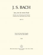 Jesu, der du meine Seele 