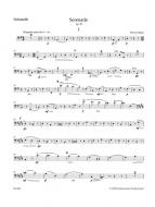 Serenade für Streicher op. 20 