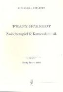 Zwischenspiel und Karnevalsmusik 