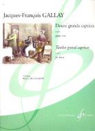 12 Grands Caprices op. 32 