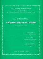 Andantino et Allegro 