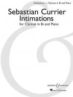 Intimations 