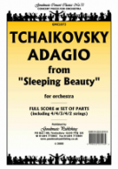 Adagio from Sleeping Beauty 