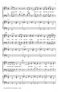 Taylor Swift In Concert Standard
