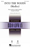Into The Woods (Medley) Standard