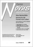 Kennst du die Formel; Teil I 