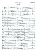 Missa angelica für Frauenchor und Orchester 