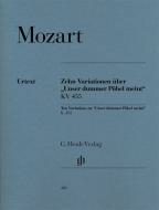 10 Variations on 'Unser dummer Pöbel' 