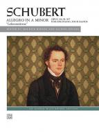 Allegro in A Minor, Op. 144 ('Lebensstürme') 