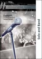 Concertino For Piccolo And Band 