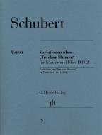 Variations on 'Trockne Blumen' 