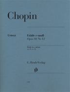 Etude c minor Op. 10,12 