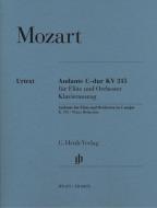 Andante C major K. 315 