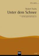Unter dem Schnee 