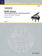 Balta ainava Standard