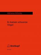 Es kamen schwarze Vögel 