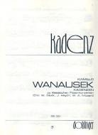 Kadenzen zu klassischen Flötenkonzerten (Gluck, Haydn, Mozart) 