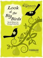 Look At The Big Birds! 