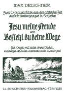 Zwei Choralpartiten 