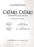 Catari, Catari 