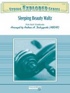 Sleeping Beauty Waltz Standard