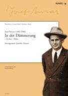 In der Dämmerung 