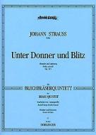 Unter Donner und Blitz 