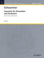 Percussion Concerto Standard