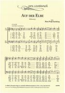 Auf der Elbe 