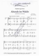 Abends im Walde 