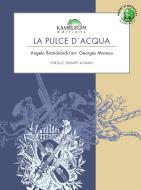 La Pulce d'Acqua 