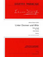 Unter Donner und Blitz 