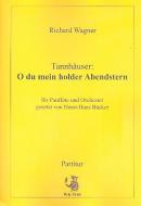 Tannhäuser: O du mein holder Abendstern 